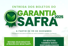 Prefeitura de Casa Nova inova com acesso aos boletos do Garantia Safra pelo WhatsApp