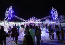 Natal do Interior: Prefeitura de Casa Nova apresenta programação cultural dos dias 11 e 14 de dezembro