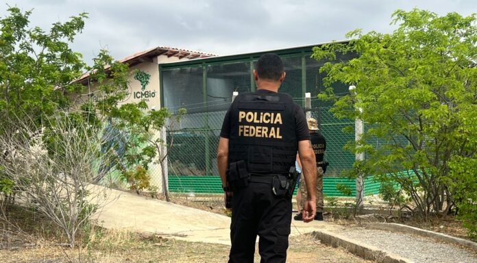 Polícia Federal deflagra operação para investigar disseminação de doença em espécie ameaçada de extinção na região de Curaçá/BA