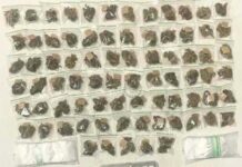 Homem é preso com maconha no Vale do Grande Rio após ação conjunta da polícia