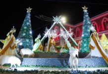 Ambientes instagramáveis: conheça quais os pontos mais procurados para fotos no Natal Luz de Petrolina