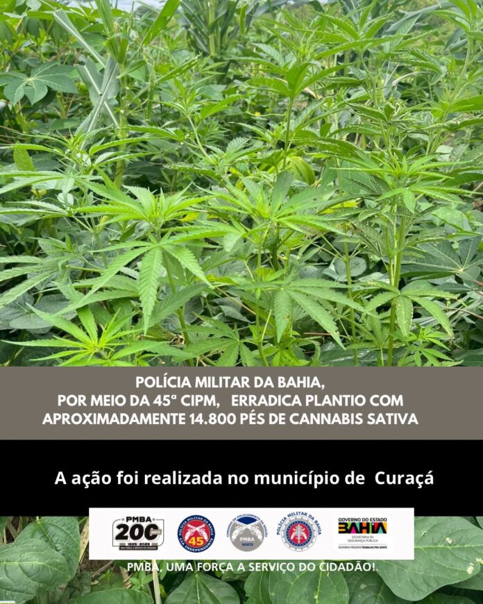 f8fc30e4-3f02-47c1-8c61-58d5ca67966e