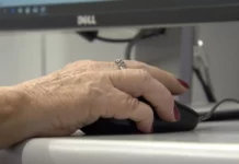 Com 8,3 milhões de trabalhadores, idosos têm nível de ocupação recorde