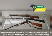 Operação Força Total: Polícia Militar realiza apreensão de três armas de fogo em Curaçá (BA)