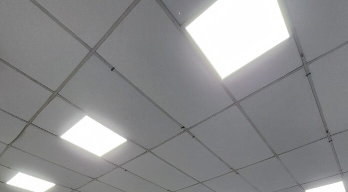 2026 começa com oportunidades: SEDEPE divulga vagas de emprego e cursos de qualificação em todo o estado de Pernambuco