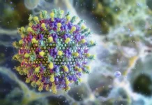 Ministério da Saúde diz que vírus Nipah não ameaça o Brasil