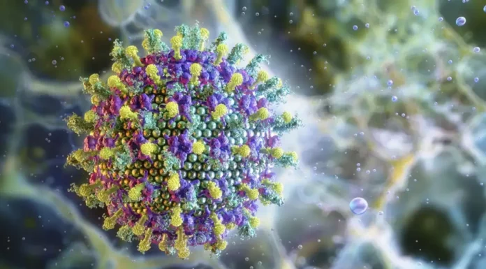 Ministério da Saúde diz que vírus Nipah não ameaça o Brasil