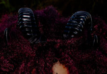 Maripoza lança álbum Besta Fera com show inédito no Sesc Petrolina neste sábadoCom ingressos já à venda, show acontece dia 31 de janeiro e garantirá acessibilidade em Libras