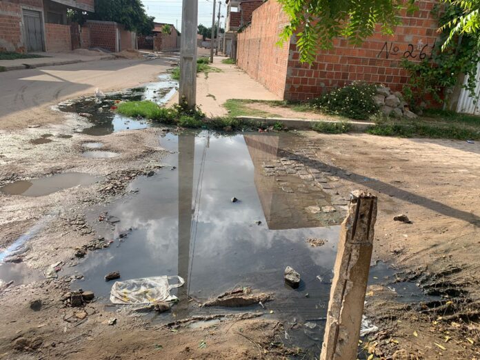 WhatsApp Image 2026-01-05 at 07.49.01