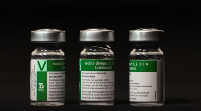 Aplicação da vacina da dengue do Butantan começará a partir do dia 17