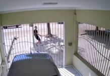 Homem efetua disparos de arma de fogo e deixa pessoa ferida na zona rural de Petrolina