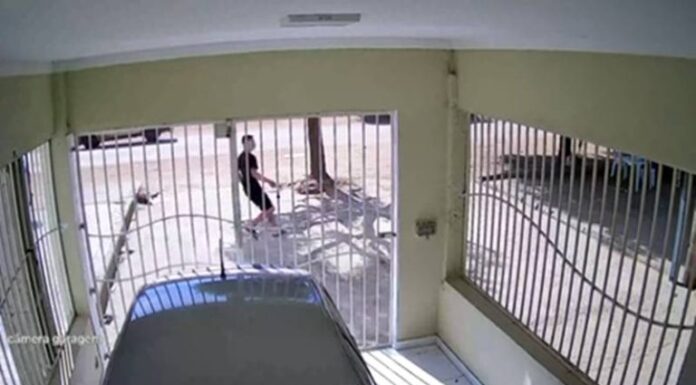 Homem efetua disparos de arma de fogo e deixa pessoa ferida na zona rural de Petrolina