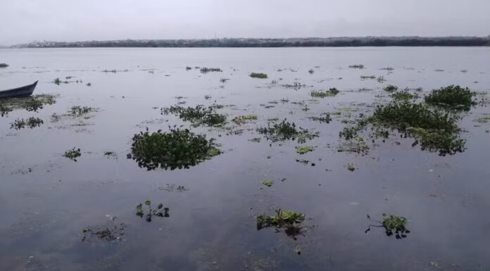 Afogamento é registrado na orla de Petrolina neste sábado (3)
