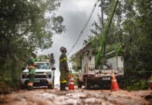 Chuvas na Bahia: estado registra cerca de 200 mil raios durante temporais que atingem o interior; Juazeiro, Curaçá, Casa Nova e Remanso estão na lista
