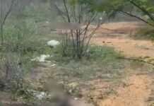 Petrolina: Corpos de cozinheira e motorista de aplicativo são encontrados