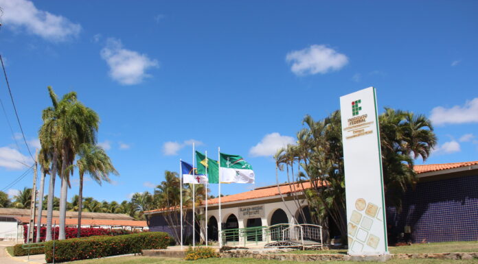 IFSertãoPE abre inscrições para cursos de formação continuada na área de informática