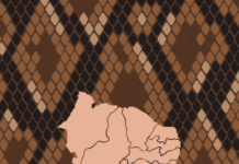 Projeto de extensão do Cemafauna publica cartilha técnica sobre serpentes peçonhentas da Caatinga