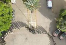 Operação integrada entre PE e BA cumpre mandados e prende suspeitos por tráfico e homicídios no Sertão