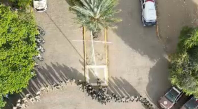 Operação integrada entre PE e BA cumpre mandados e prende suspeitos por tráfico e homicídios no Sertão