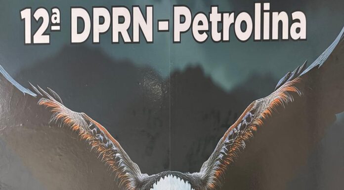 Polícia Civil apreende 3 kg de maconha, cocaína e celulares em Petrolina