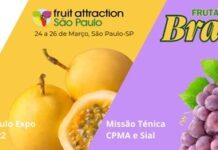 Abrafrutas realiza evento técnico sobre Boas Práticas Agrícolas e Manejo Fitossanitário no Vale do São Francisco