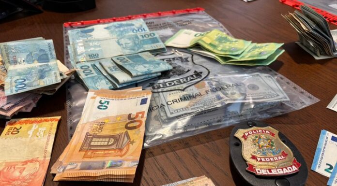 Viveiro Municipal fortalece educação ambiental ao realizar visitas guiadas