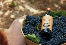 Vinhos da Garziera conquistam 90 pontos em relatório de renomado crítico internacional