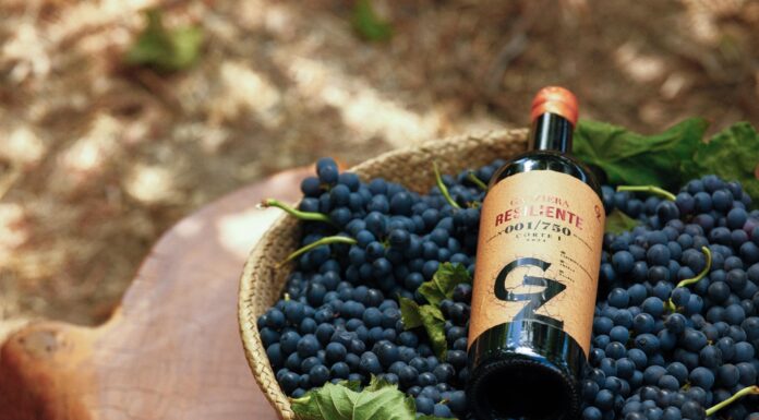 Vinhos da Garziera conquistam 90 pontos em relatório de renomado crítico internacional