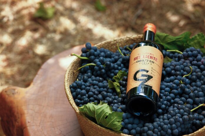 garziera_resiliente_vinho_malbec