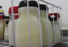 Biama de Petrolina tem baixo estoque de leite; saiba como doar
