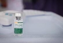 Vacina brasileira contra a dengue começa a ser distribuída na Bahia; saiba quem vai poder receber imunizante