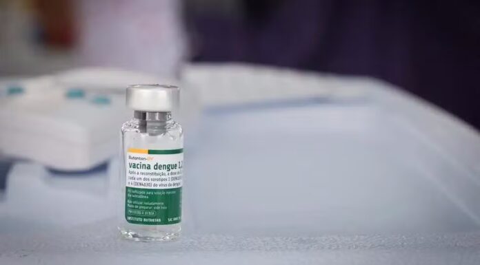 Vacina brasileira contra a dengue começa a ser distribuída na Bahia; saiba quem vai poder receber imunizante