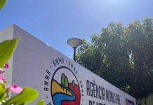 Prefeitura lança plano para ampliar controle populacional e cuidado com cães e gatos em Petrolina