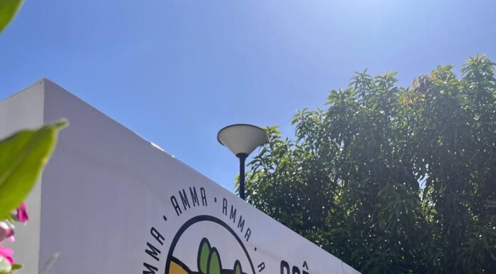 Prefeitura lança plano para ampliar controle populacional e cuidado com cães e gatos em Petrolina