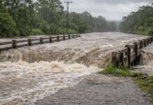 MPPE recomenda adoção de medidas emergenciais em cinco municípios; Santa Maria da Boa Vista está na lista