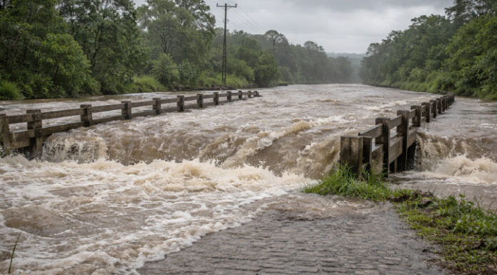 MPPE recomenda adoção de medidas emergenciais em cinco municípios; Santa Maria da Boa Vista está na lista