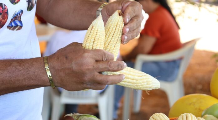 Programa Meu Bairro Empreendedor chega à comunidade de Icó de Né Gomes neste sábado
