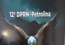 Polícia Civil prende duas mulheres e apreende 43 kg de maconha em Petrolina