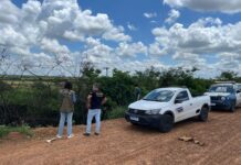 Petrolina+Limpa: Fiscalização autua responsável por descarte irregular de animais mortos no Projeto Maria Tereza