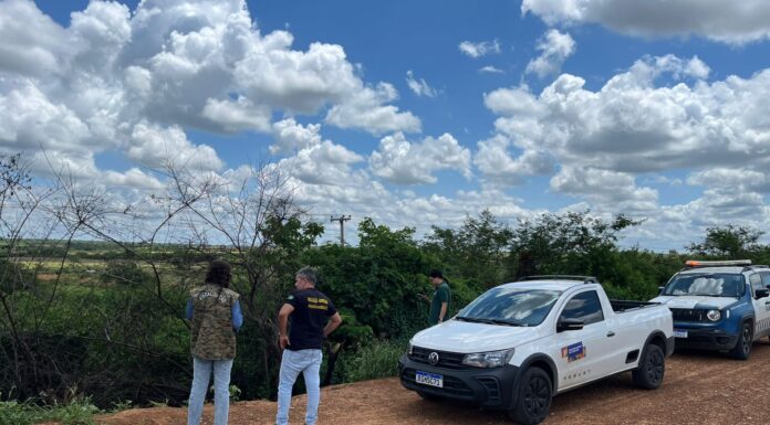 Petrolina+Limpa: Fiscalização autua responsável por descarte irregular de animais mortos no Projeto Maria Tereza