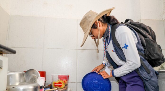 Resultado do 2º LIRAa aponta Petrolina em situação de alerta para o mosquito Aedes aegypti
