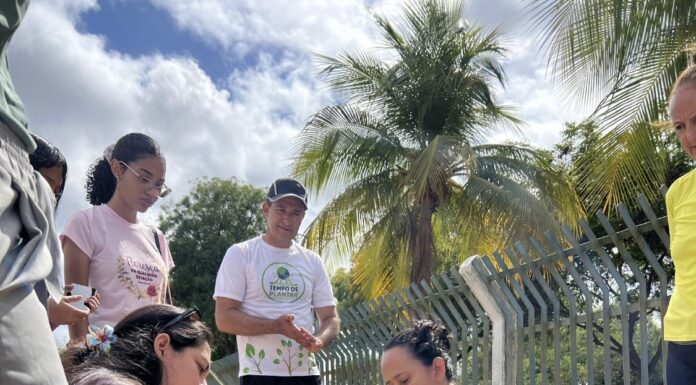 Petrolina avança na arborização urbana com plantio e distribuição de mudas