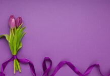 Março Lilás reforça prevenção ao câncer do colo do útero e destaca importância do diagnóstico precoce