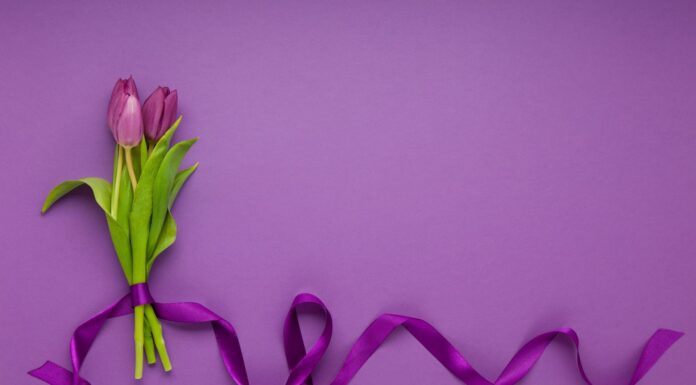 Março Lilás reforça prevenção ao câncer do colo do útero e destaca importância do diagnóstico precoce