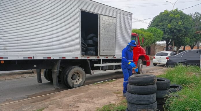 Força-tarefa do Petrolina + Limpa recolhe mais de três toneladas de pneus descartados irregularmente
