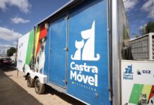 Bora Petrolina levará castração de animais ao bairro José e Maria