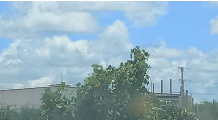 Petrolina+Limpa: Descarte irregular de resíduos resulta em multa e apreensão de veículo