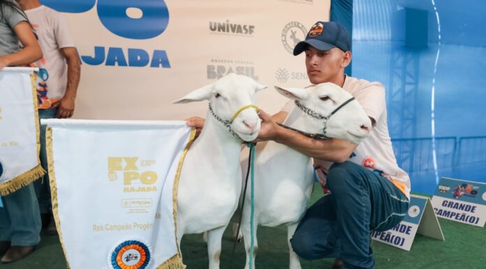 ExpoRajada terá estrutura ampliada e Leilão de Animais pela primeira vez