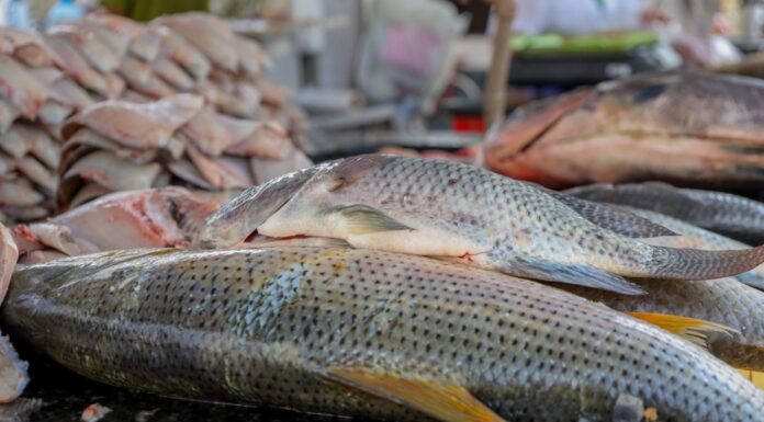 Vigilância Sanitária de Petrolina reforça orientações sobre compra de pescado na Semana Santa