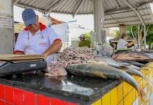 Tradição da Semana Santa impulsiona vendas e destaca variedade de preços na Praça do Peixe, em Petrolina